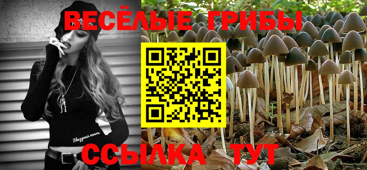 Псилоцибиновые грибы Cubensis Шатура