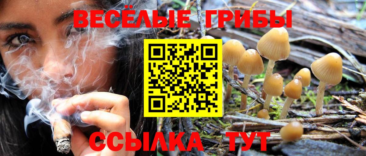 Шатура  Псилоцибиновые грибы прущие грибы  Вход с VPN 