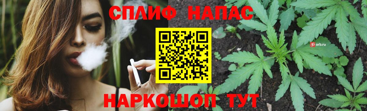 Конопля ГИДРОПОН Шатура